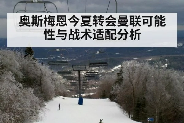 奥斯梅恩今夏转会曼联可能性与战术适配分析