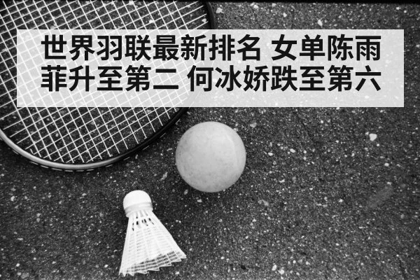 世界羽联最新排名 女单陈雨菲升至第二 何冰娇跌至第六