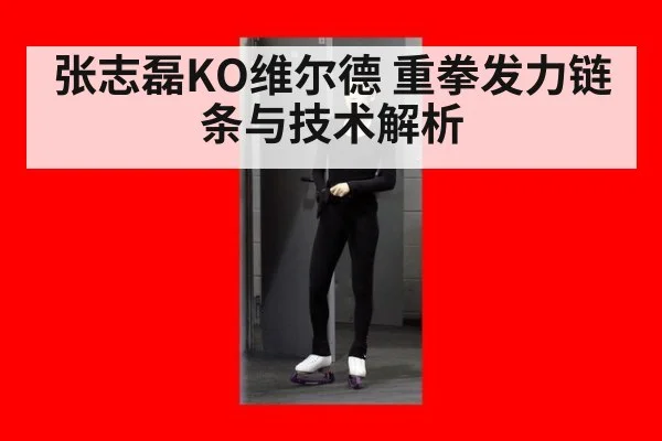 张志磊KO维尔德 重拳发力链条与技术解析