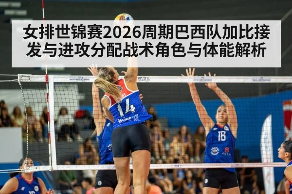 女排世锦赛2026周期巴西队加比接发与进攻分配战术角色与体能解析